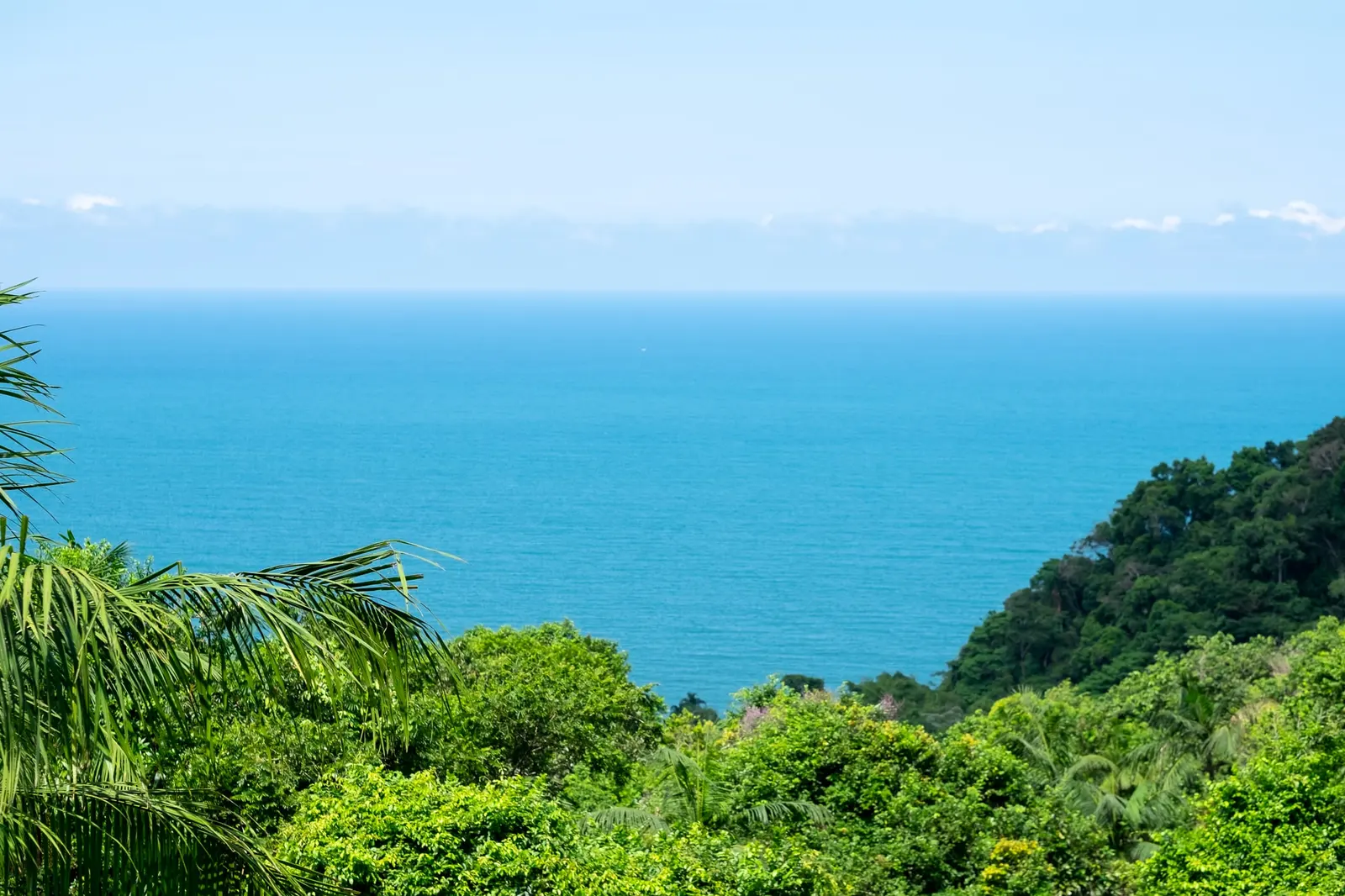 Vista do mar a partir da Villa 231 cercada pela vegetação preservada do Condomínio Iporanga.