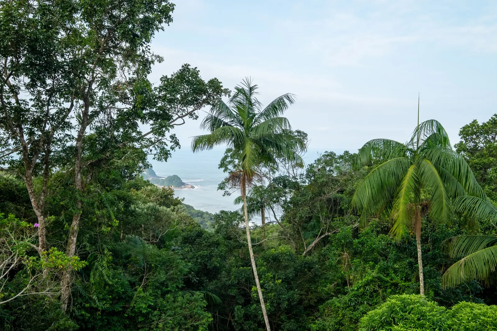 Ambiente interno 23 — Tijucopava, Guarujá, para temporada, Casa