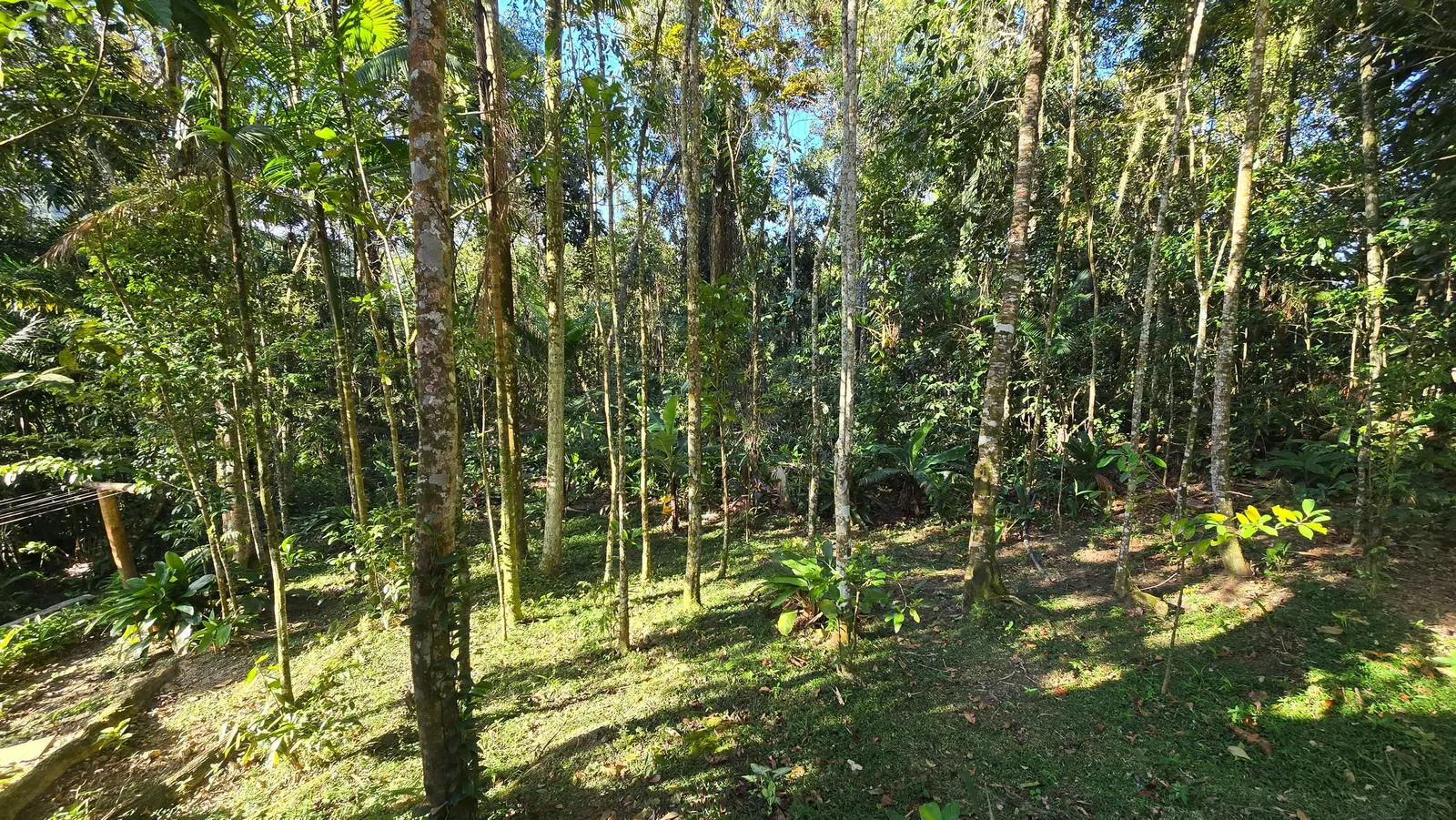 Área externa 11 — Tijucopava, Guarujá, à venda, Casa