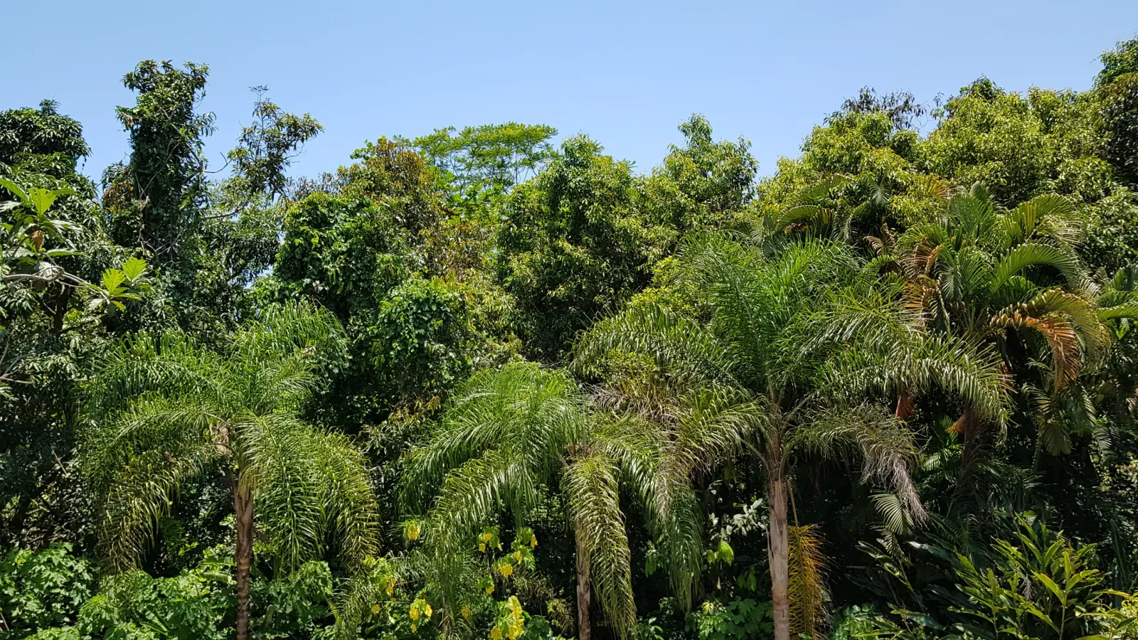 Casa 5 suítes no Condomínio Iporanga — Guarujá — foto 14