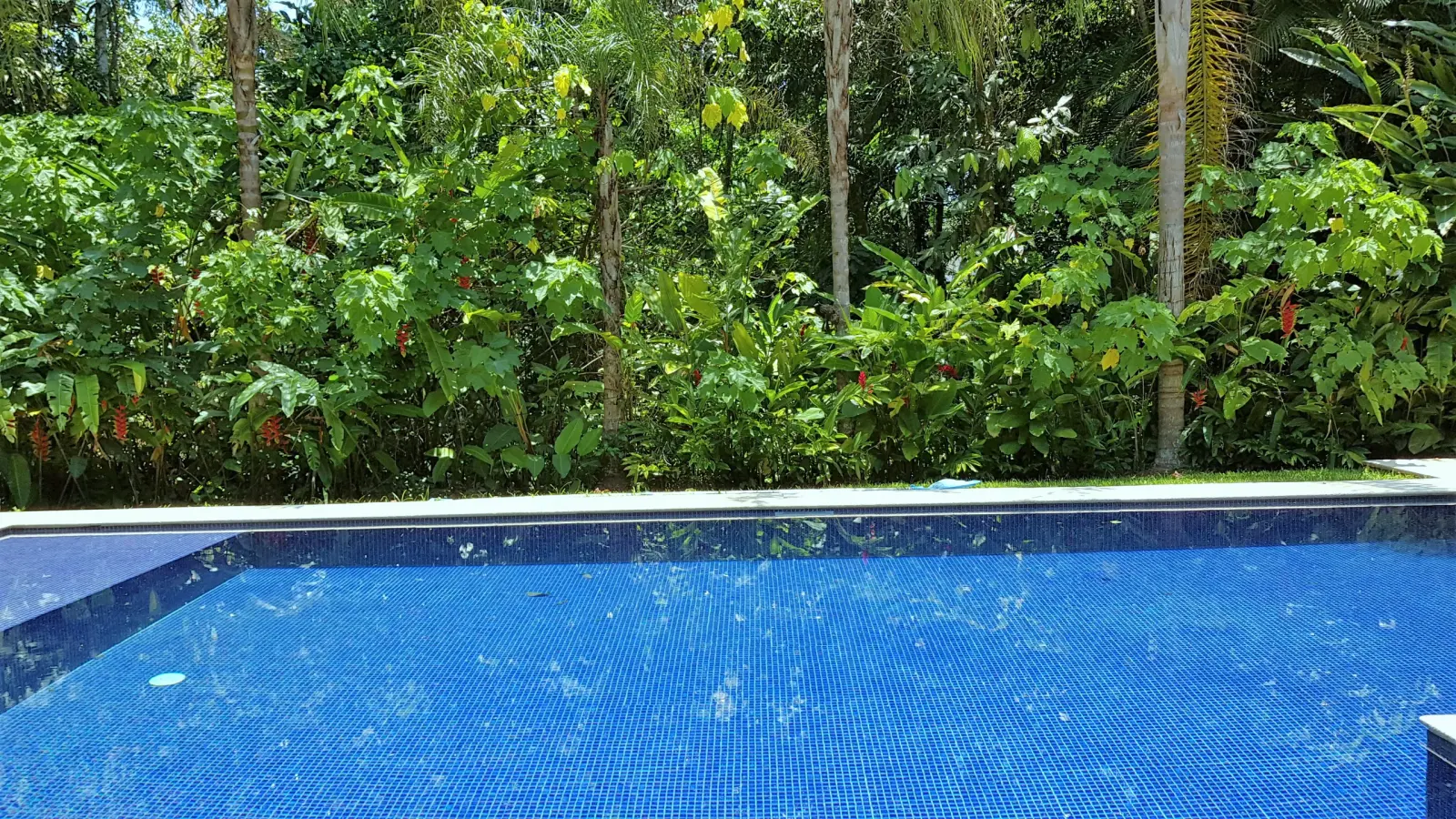Casa 5 suítes no Condomínio Iporanga — Guarujá — foto 15