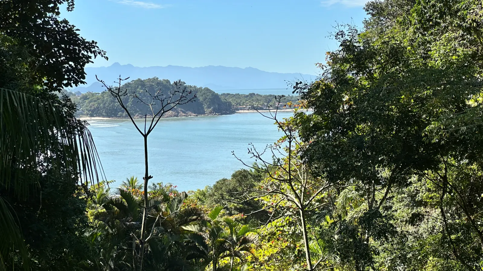 Villa 207 - Aluguel Temporada - Vista panorâmica da Suíte Master  para a natureza preservada de Tijucopava
