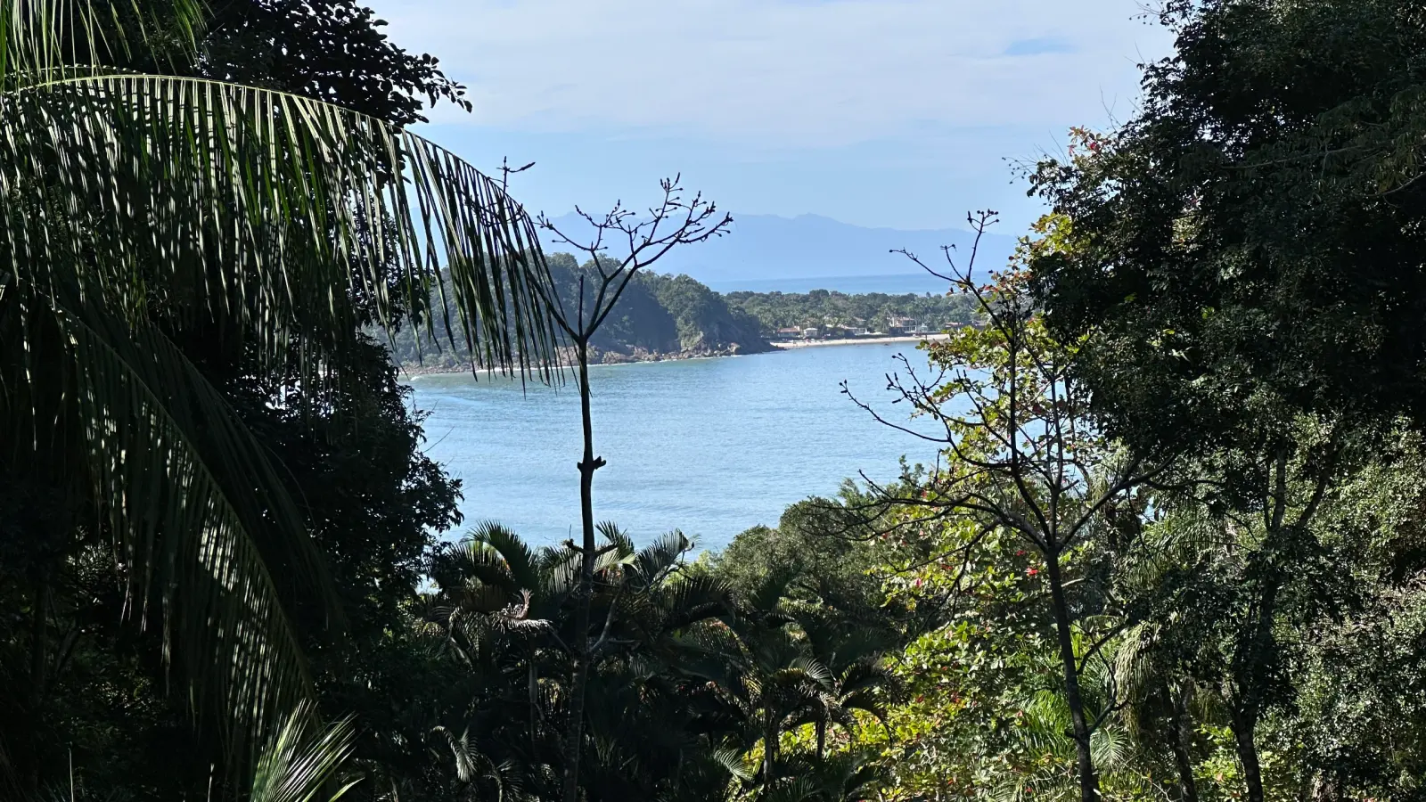 Villa 207 - Aluguel Temporada - Vista para o mar entre a vegetação preservada  no Condomínio Tijucopava