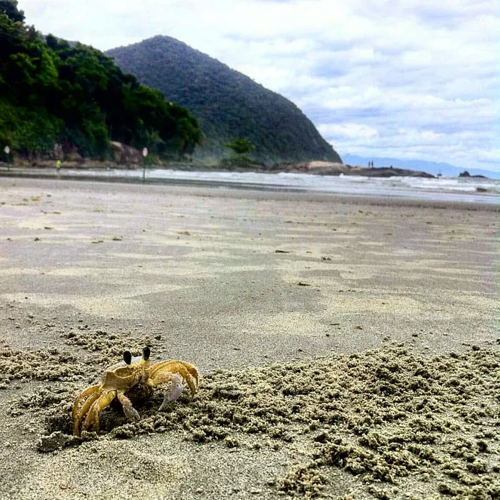 Melhores destinos, Praia do Iporanga · Praia · Andreatta Broker