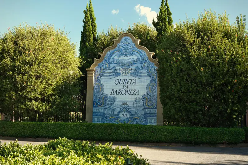 Quinta da Baroneza, Campo