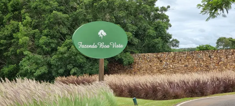 Fazenda Boa Vista, Campo