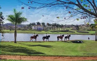 Cavalo na Quinta da Baroneza